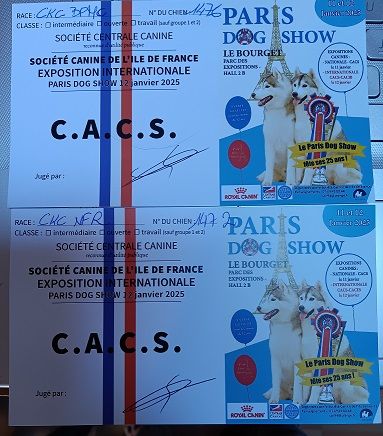 des anges de la Lyve - RESULTATS PARIS DOG SHOW 2025