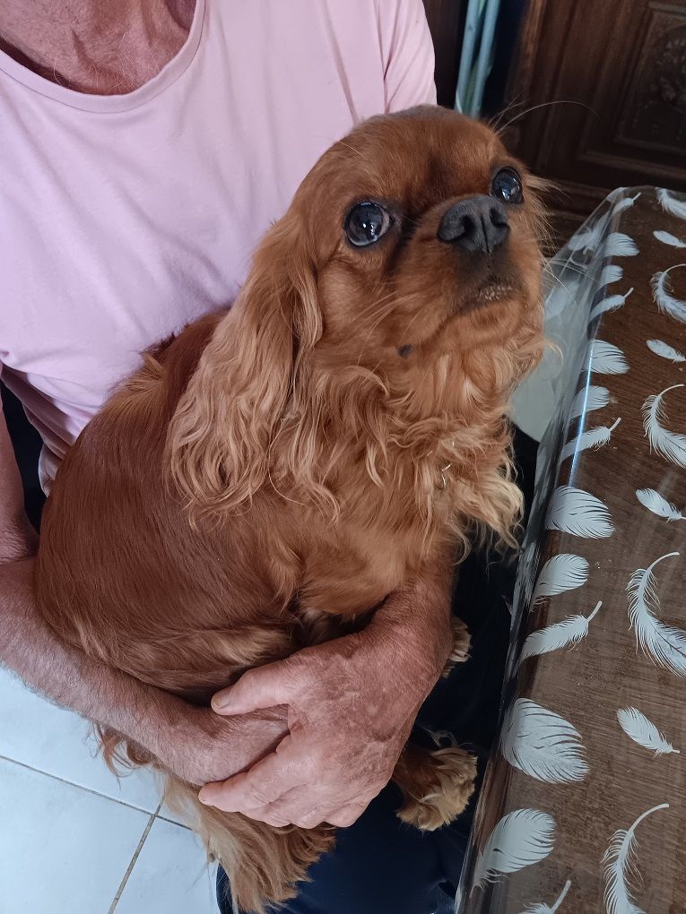 Des bébés pour novembre.....